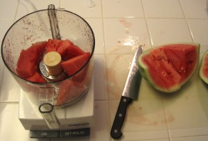 how to puree watermelon